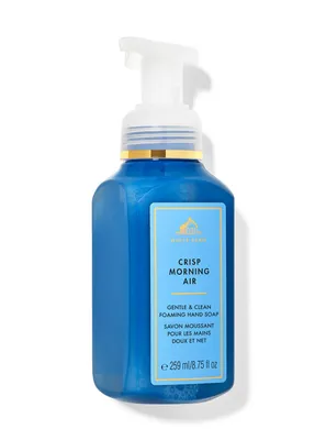 Crisp Morning Air Gentle & Clean Foaming Hand Soap