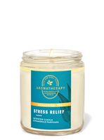 Eucalyptus Tea Mason Single Wick Candle