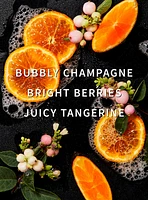 Champagne Toast Fragrance Booster