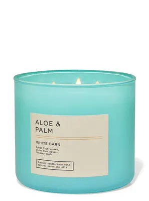 Aloe & Palm 3-Wick Candle