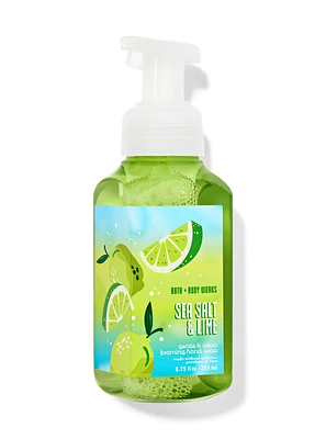 Sea Salt & Lime Gentle & Clean Foaming Hand Soap