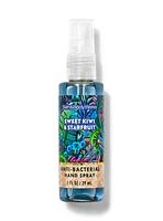 Sweet Kiwi & Starfruit Hand Sanitizer Spray