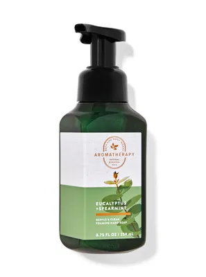 Eucalyptus Spearmint Gentle & Clean Foaming Hand Soap