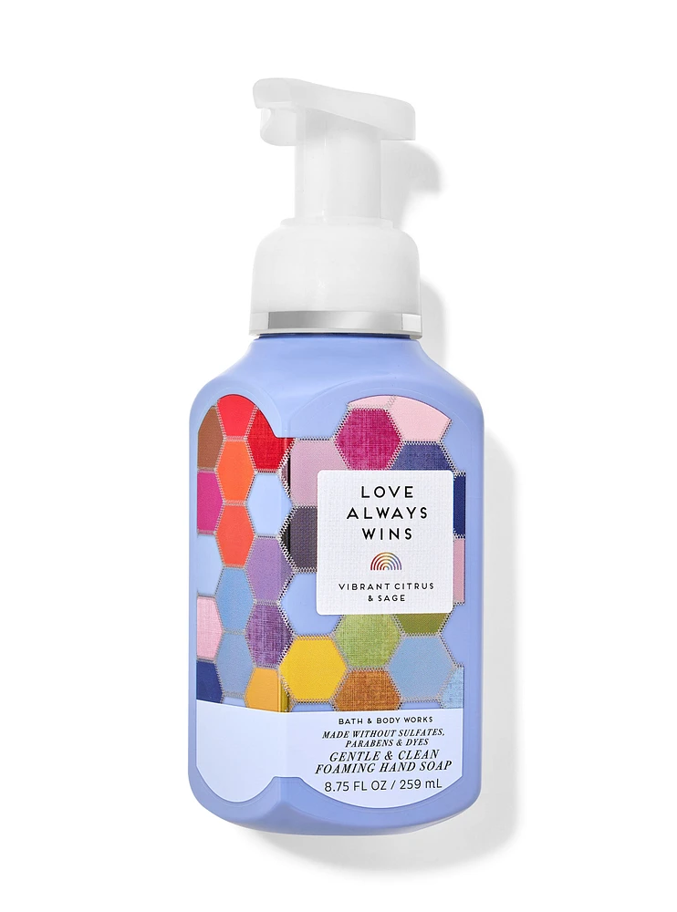 Love Always Wins Gentle & Clean Foaming Hand Soap