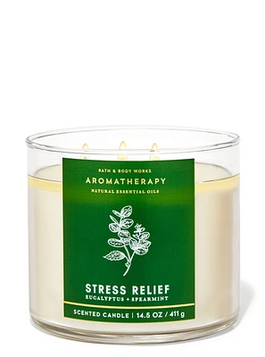 Eucalyptus Spearmint 3-Wick Candle