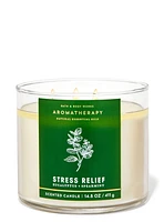 Eucalyptus Spearmint 3-Wick Candle