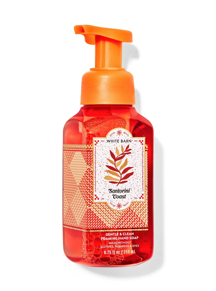 Gentle & Clean Foaming Hand Soap