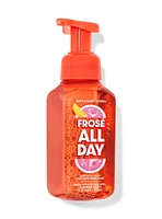 Frosé All Day Gentle & Clean Foaming Hand Soap
