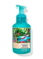 Turquoise Waters Gentle & Clean Foaming Hand Soap