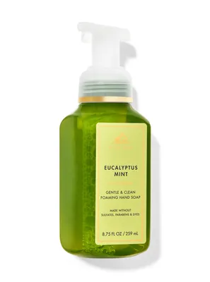 Eucalyptus Mint Gentle & Clean Foaming Hand Soap
