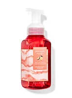 Pineapple Mango Gentle & Clean Foaming Hand Soap
