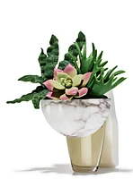 Stoneware Greenery Adjustable Wallflowers Scent Control™ Nightlight Fragrance Plug