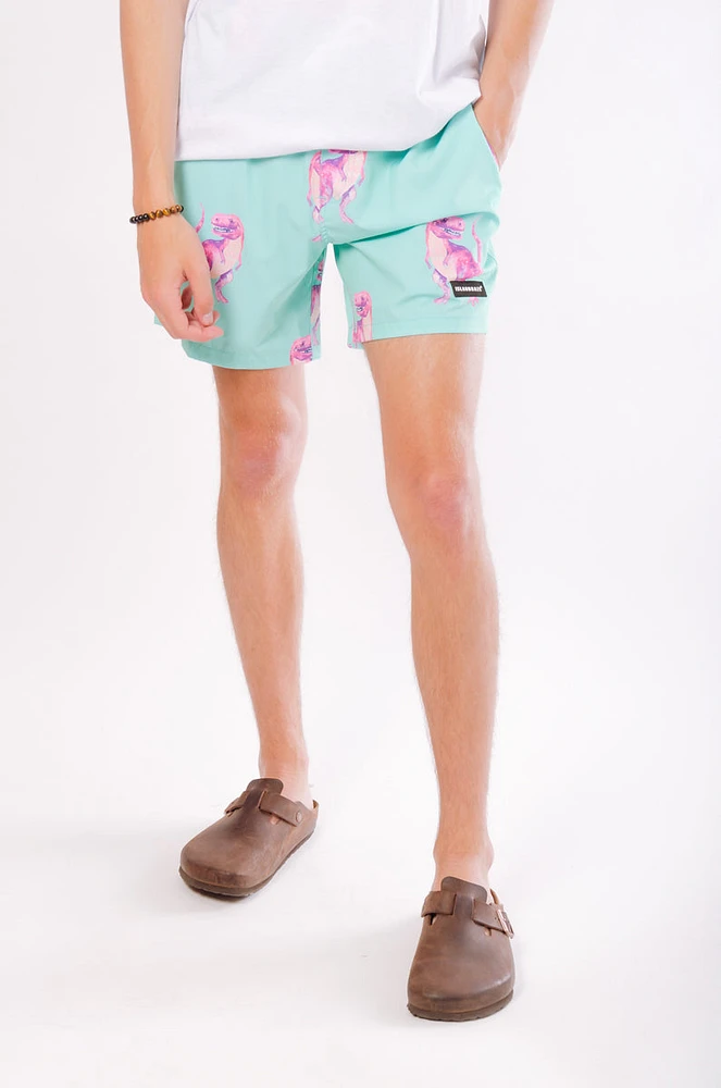 Dinosaur Swim Shorts