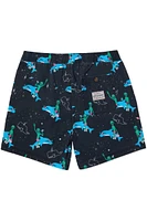 Nice Dreams Swim Shorts