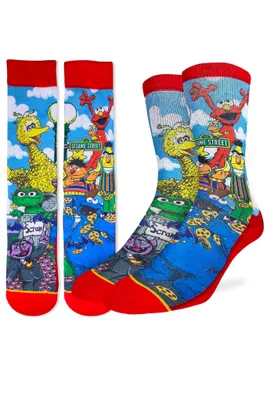 Sesame Street Family Sock