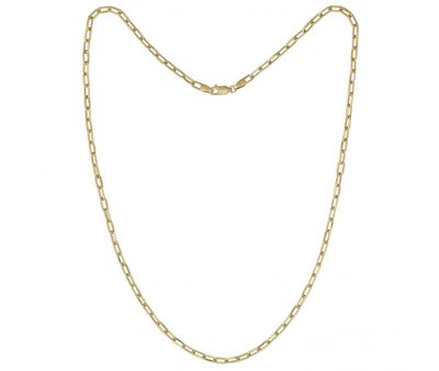 10K Yellow Gold 20" 3.2mm Paper Clip Chain