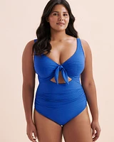 Maillot de bain une-pièce bonnet D-DD Aria Cezanne