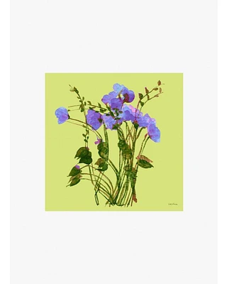 Cinzia Rocca Green Floral Silk Scarf