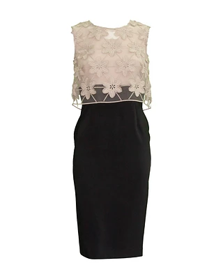 Lace Popover Dress