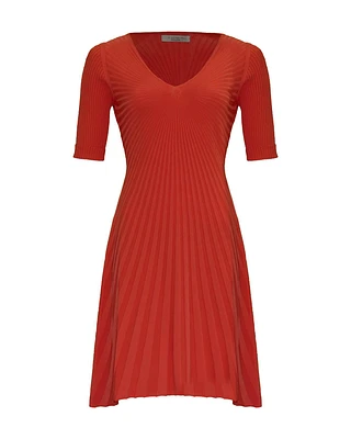 Starburst Fit & Flair Dress