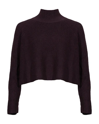 Eileen Fisher Cropped Knit Turtleneck