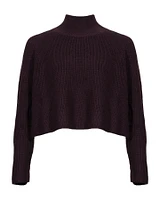 Eileen Fisher Cropped Knit Turtleneck