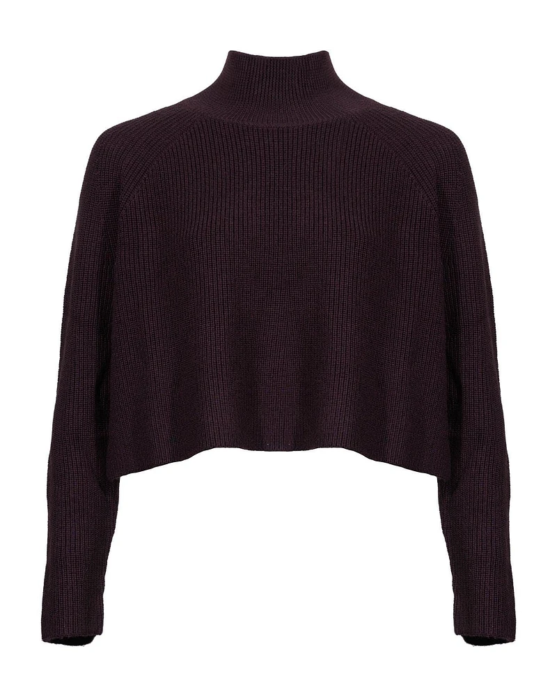 Eileen Fisher Cropped Knit Turtleneck