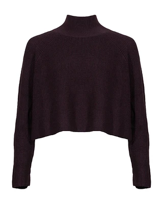 Eileen Fisher Cropped Knit Turtleneck