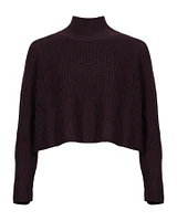 Eileen Fisher Cropped Knit Turtleneck