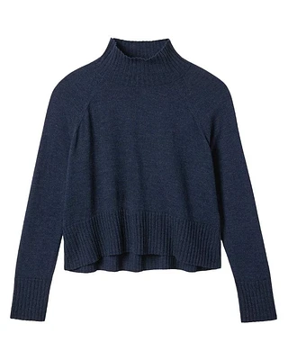 Eileen Fisher Merino Turtleneck Sweater