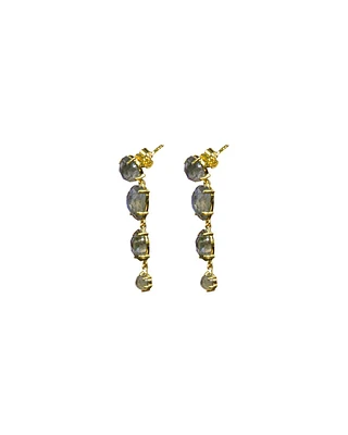 Mismatch Labradorite Dangle Earrings