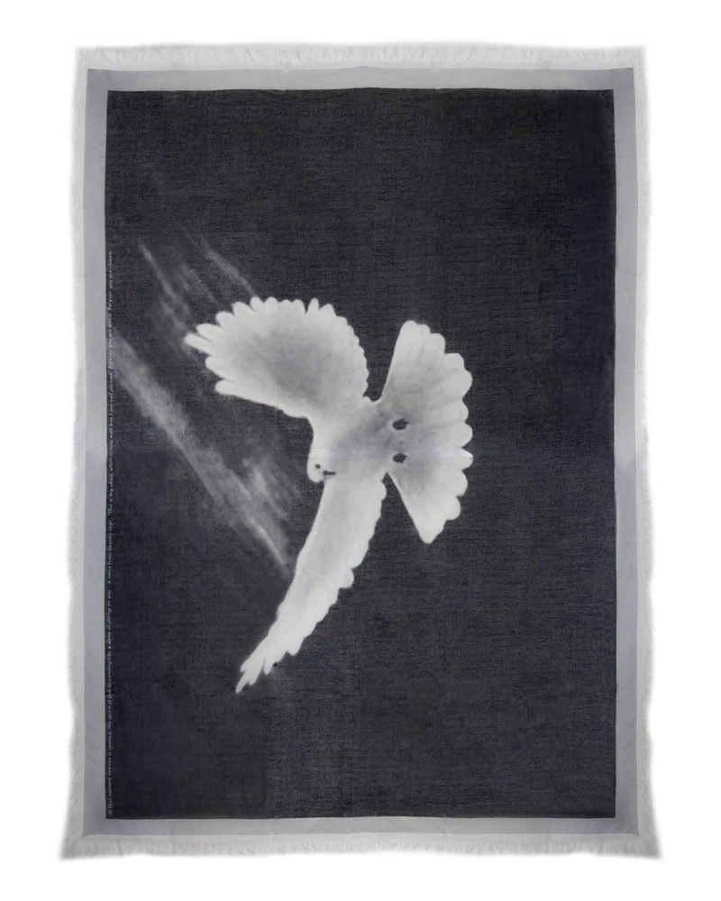 Eyes Of A Dove Scarf
