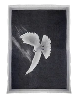 Eyes Of A Dove Scarf