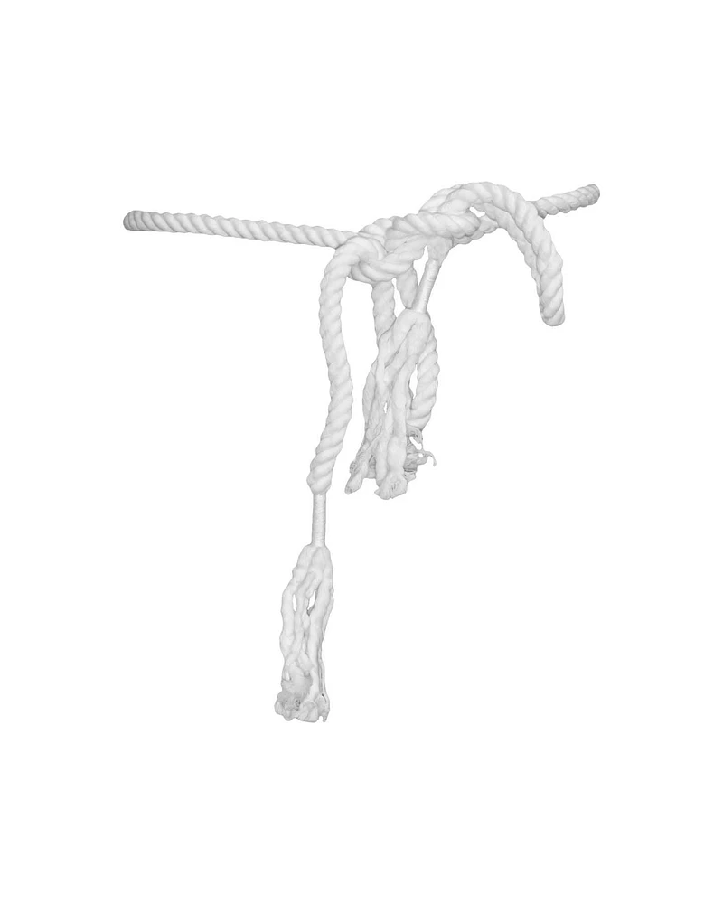 Corded Belt