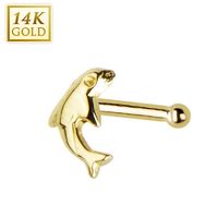 14K Gold Dolphin Nose Bone 20g