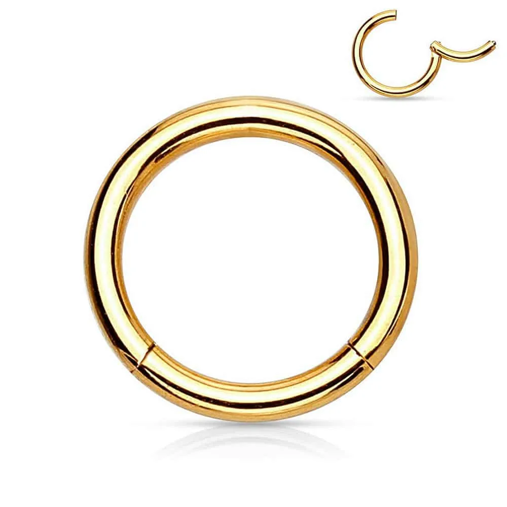 Gold Hinged Segment Ring 14g