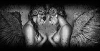 Signature: Angel Wives