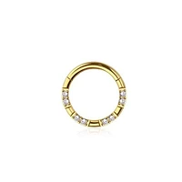 PREMIUM Double Crystal Segment Ring 16g