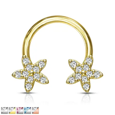 PREMIUM Claw-Set Star Circular Barbell 16g