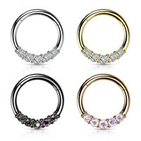 PREMIUM Claw-set 5 Jewel Segment Ring 16g