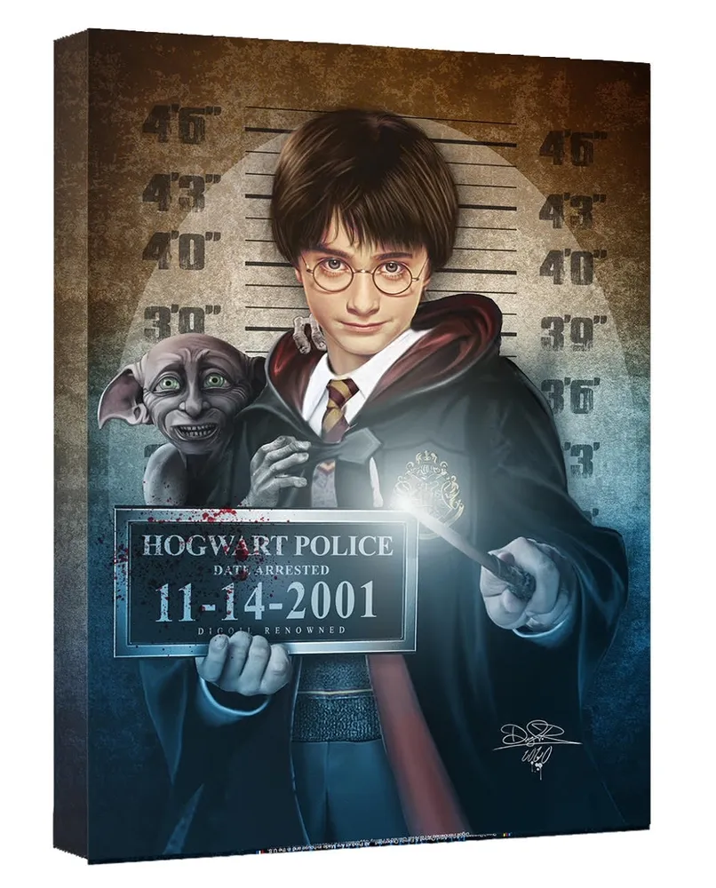 MUGSHOT: Harry Potter