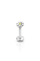 PREMIUM Daisy Labret 16g