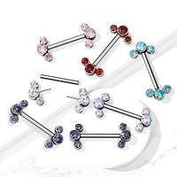 PREMIUM Luxe G23 Ti Curved Cluster Nipple Barbell
