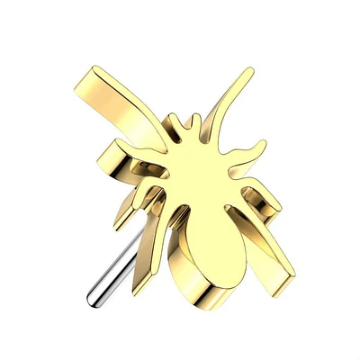 PREMIUM Titanium Spider Simple Threadless Top