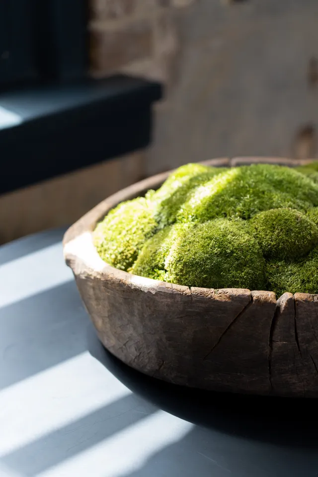 Moss Bowl Centerpiece