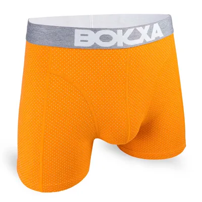 Boxer court Bokxa Dots