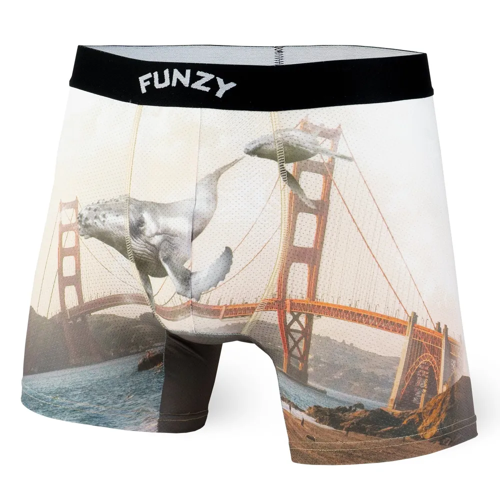 Boxer Funzy Golden Gate Whales