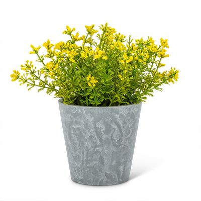 Fleurs jaunes en pot ciment