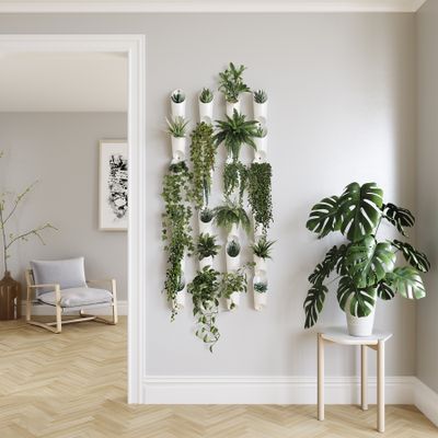 Trio de vases muraux – Floralink