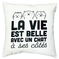 Coussin éco doux – Chat